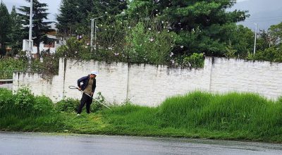 Grass Cutting & Landscaping