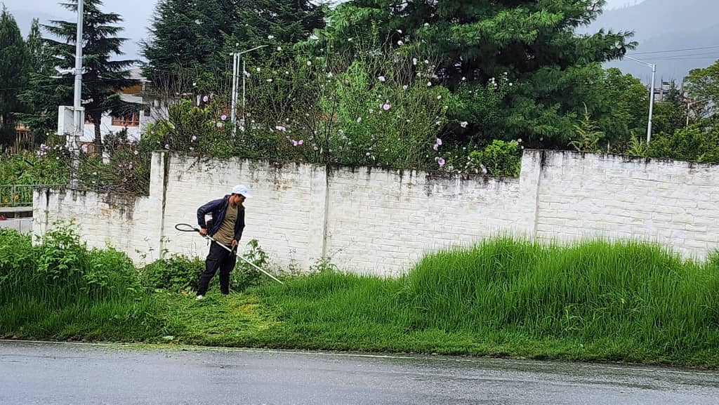Grass Cutting & Landscaping